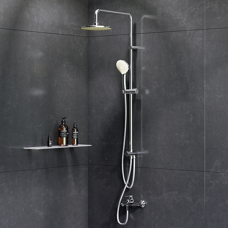 F40890A14 набор 2в1: см-ль д/ванны/душа верхний душ d 220 мм ручн.душ 110 мм 1 ф-ция душевая AM.PM Gem