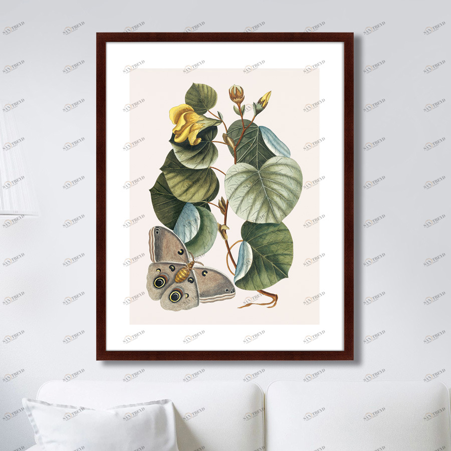 Картина: Beauty bloom №3, 1732г. КАРТИНЫ В КВАРТИРУ  264203 Разноцветный 