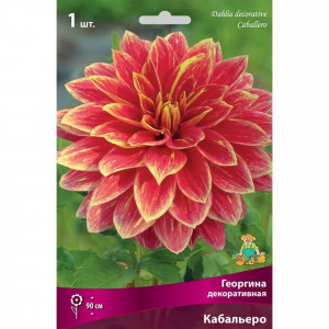 83593777 Георгина декоративная Кабальеро луковица I