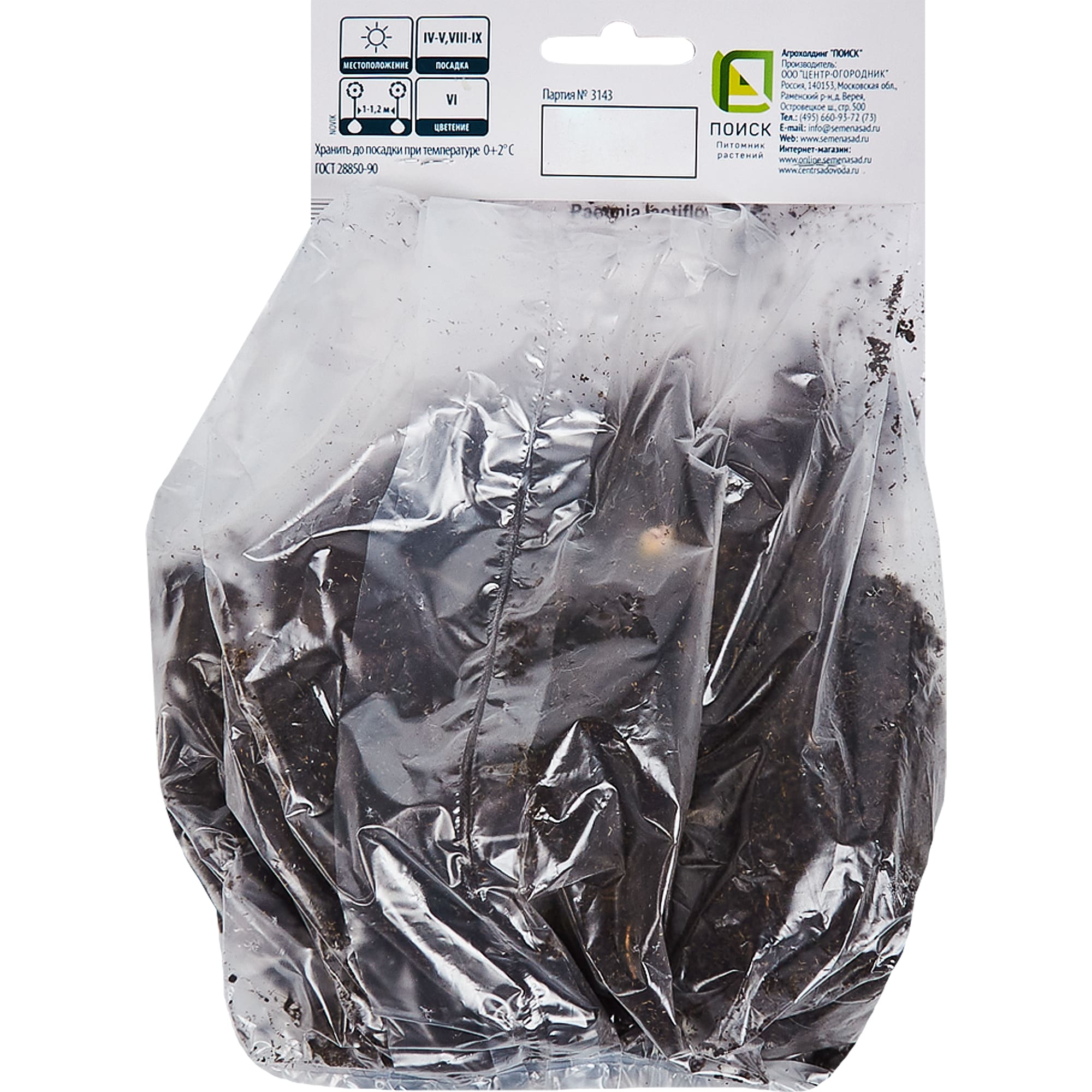 83600096 Пион травянистый Сара Бернар Капер луковица 1-2 Santreyd  - Вид №1