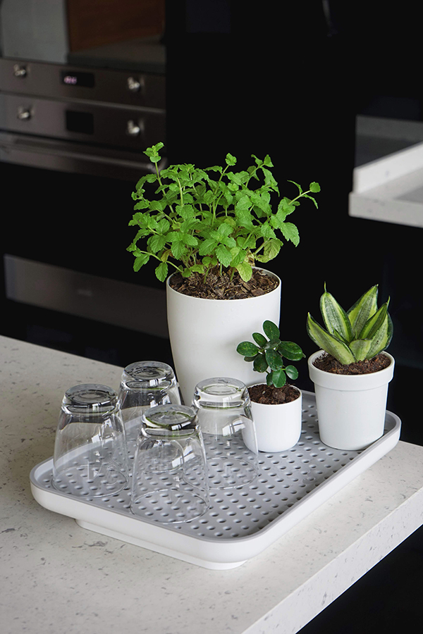 QL10309-WH-GY Лоток для полива растений oasis tray белый Qualy  - Вид №2