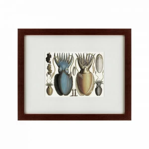 Картина: Water world, 1730 КАРТИНЫ В КВАРТИРУ  135738 Разноцветный