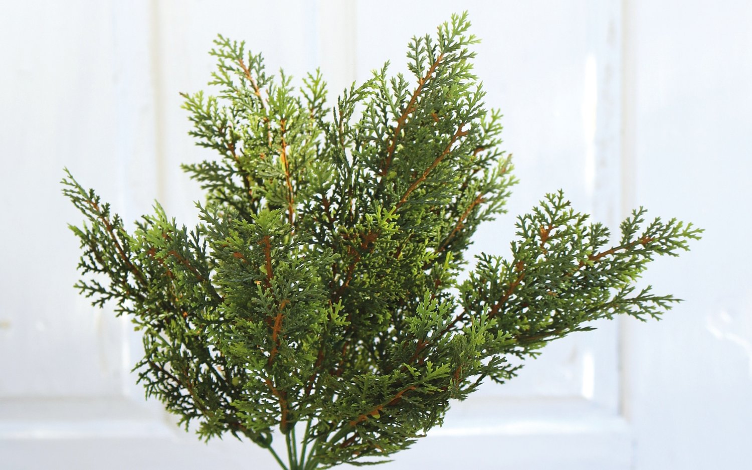 4920 883 a3 Искусственный стебель туи, 35 см, зеленый H-andreas  - Вид №1