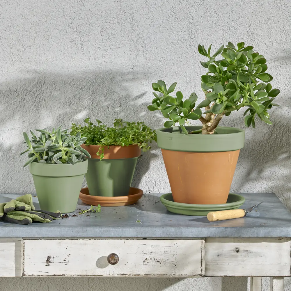 Аэрозольная эмаль Luxens для интерьера и экстерьера - бледно-зелёный глянец 83237397 STLM-0039753 - Вид №5