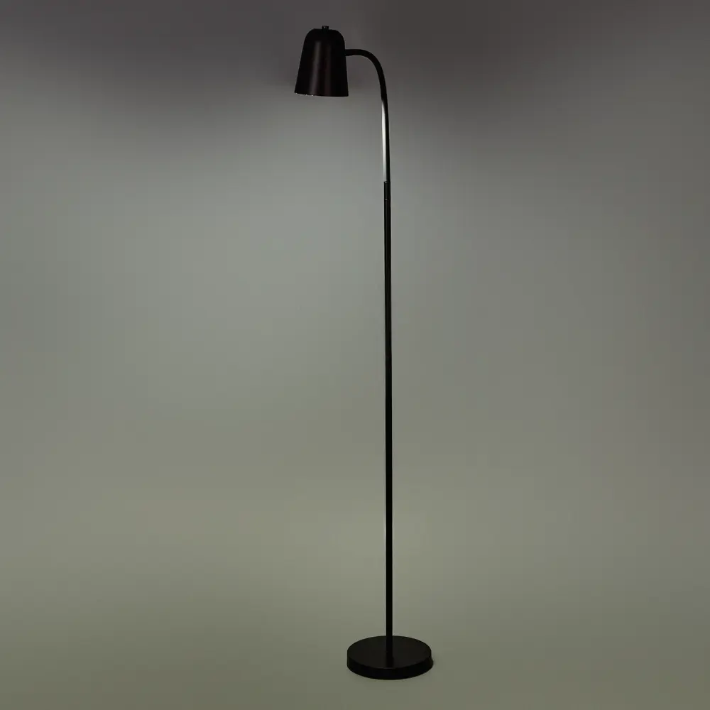 Торшер CAMELION KD-434F C02 — стильное освещение для современного интерьера 89387939 STLM-1327647