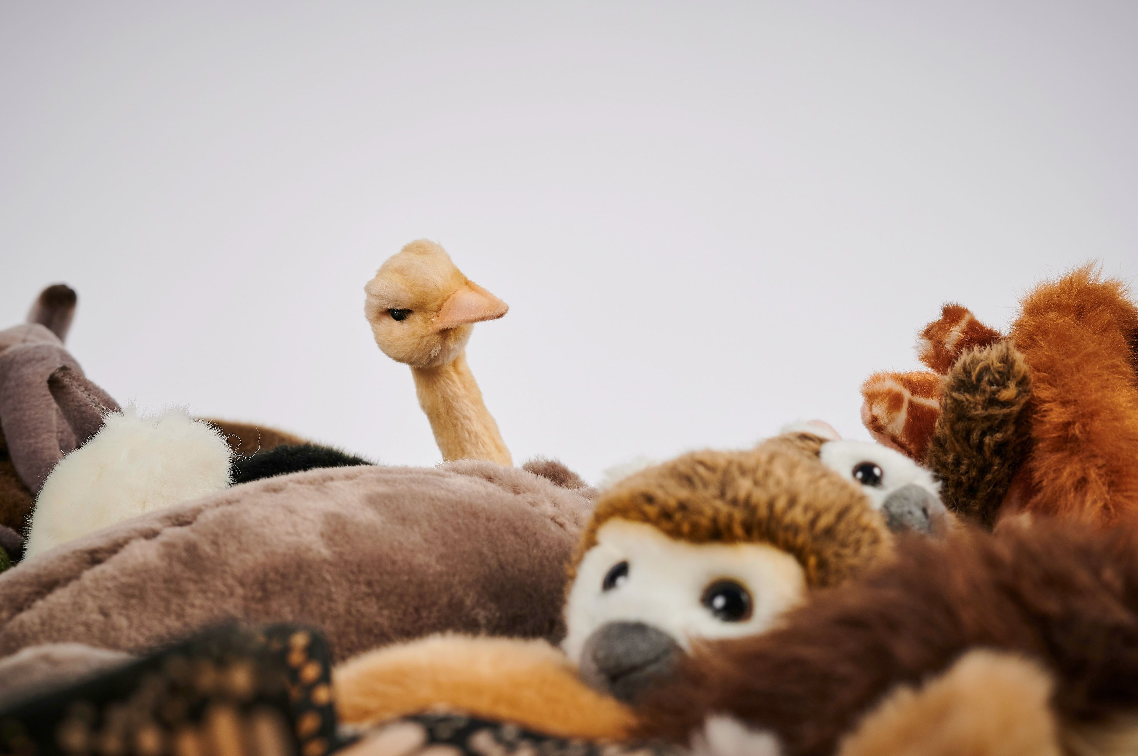 Полиэстер круглый пуф APCOLLECTION Африканское сафари ARCH-00037614 - Вид №15