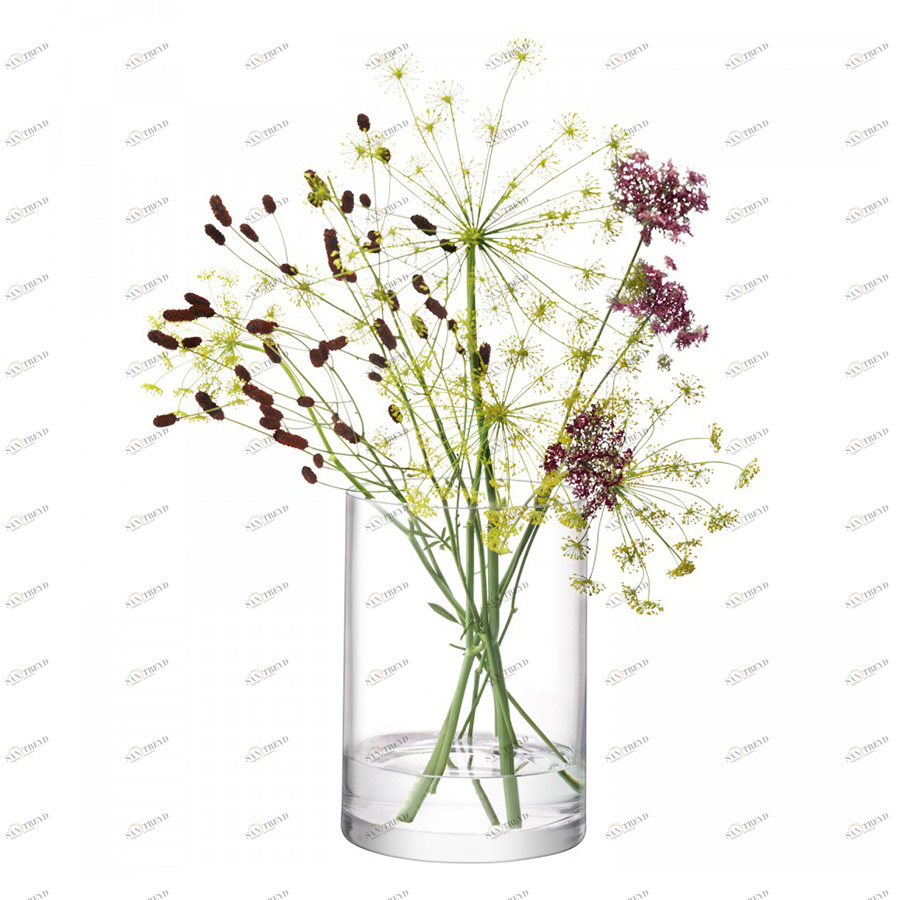 Ваза цилиндрическая прозрачная 24 см Сolumn LSA INTERNATIONAL - 253360 Прозрачный 