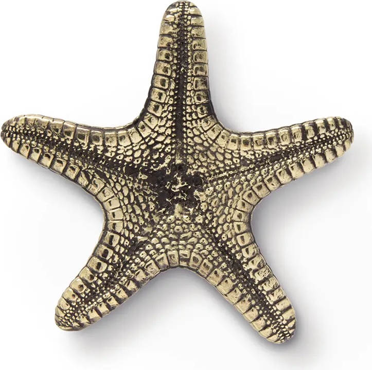 OC2013 Linckia PULLCAST Ocean Collection 