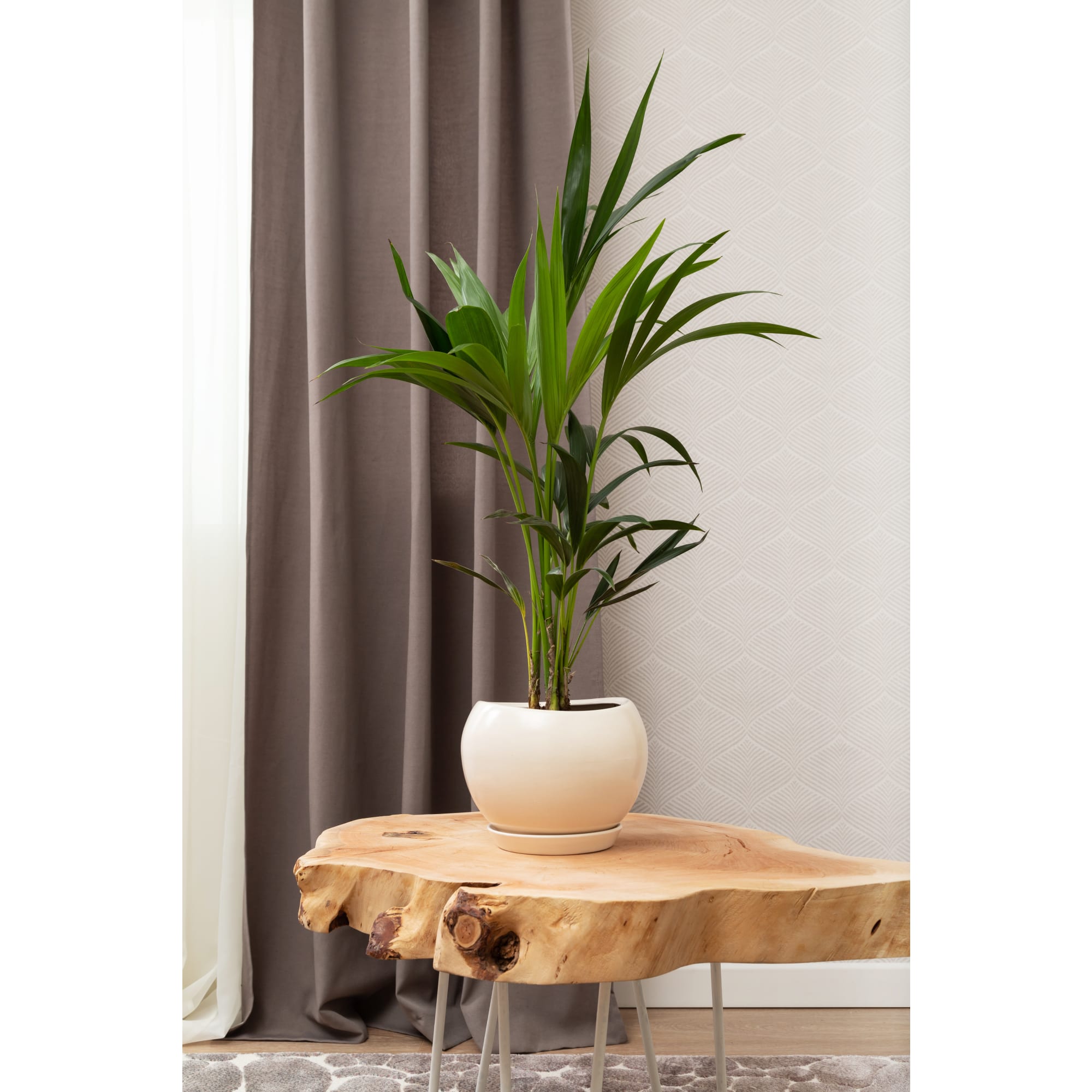 81932591 Горшок цветочный ø20 h18 см v3.5 л керамика белый Адель Santreyd - Вид №5