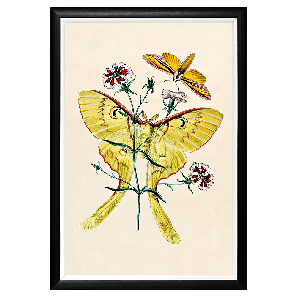 782752428_1818 Арт-постер «Тропический рай», версия 29 Object Desire 