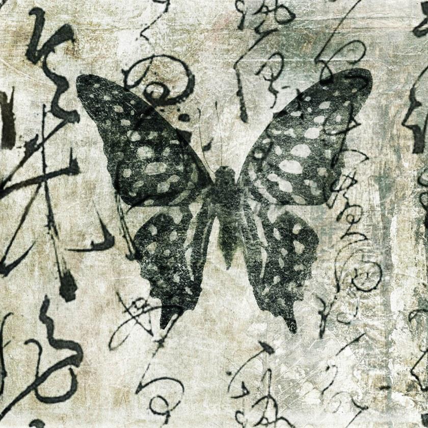 MOMENTI Художественная печать Crazy home paintings 085 - Вид №1