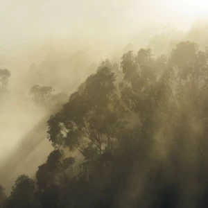 SH067-VD4-Misty-Mountain Фотообои Komar Stefan Hefele 2.5х4 м