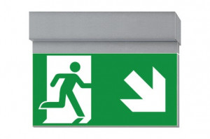 DST-1863 Ikus 2211-t Daisalux Светильники сигнальные Серебристо-Серый