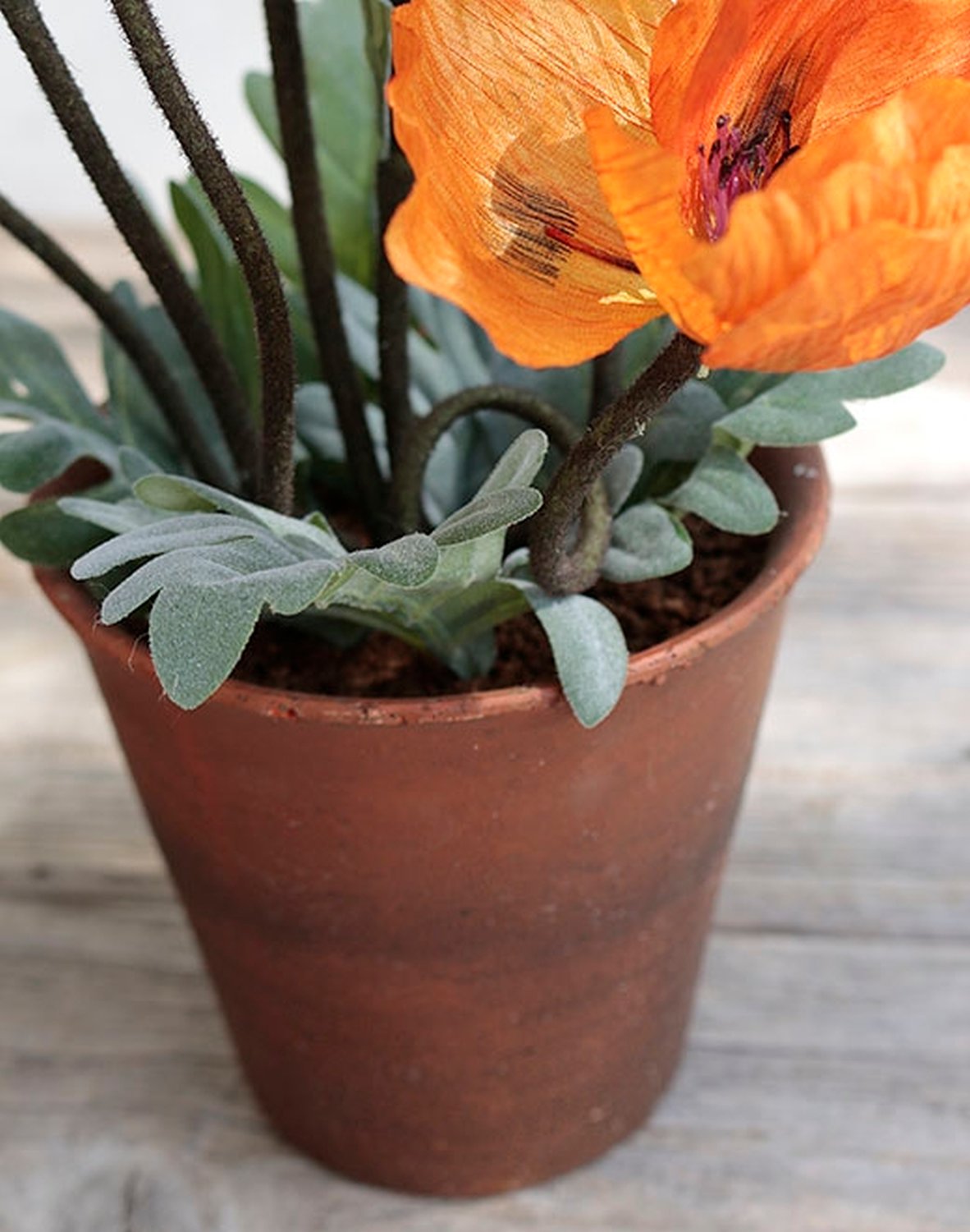 4524 334 a2 Мак шелковый, горшечный, 40 см, оранжевый H-andreas 