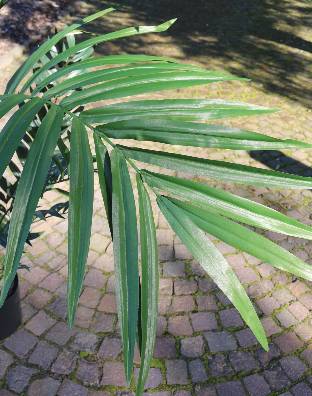 5452 883 a3 Искусственная пальма Kentia, горшечная, 240 см, зеленая H-andreas  - Вид №6