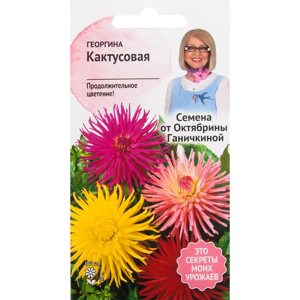 Георгина «Кактусовая» 0.2 г 82481605 STLM-2177762 СЕМЕНА ОТ ОКТЯБРИНЫ ГАНИЧКИНОЙ 