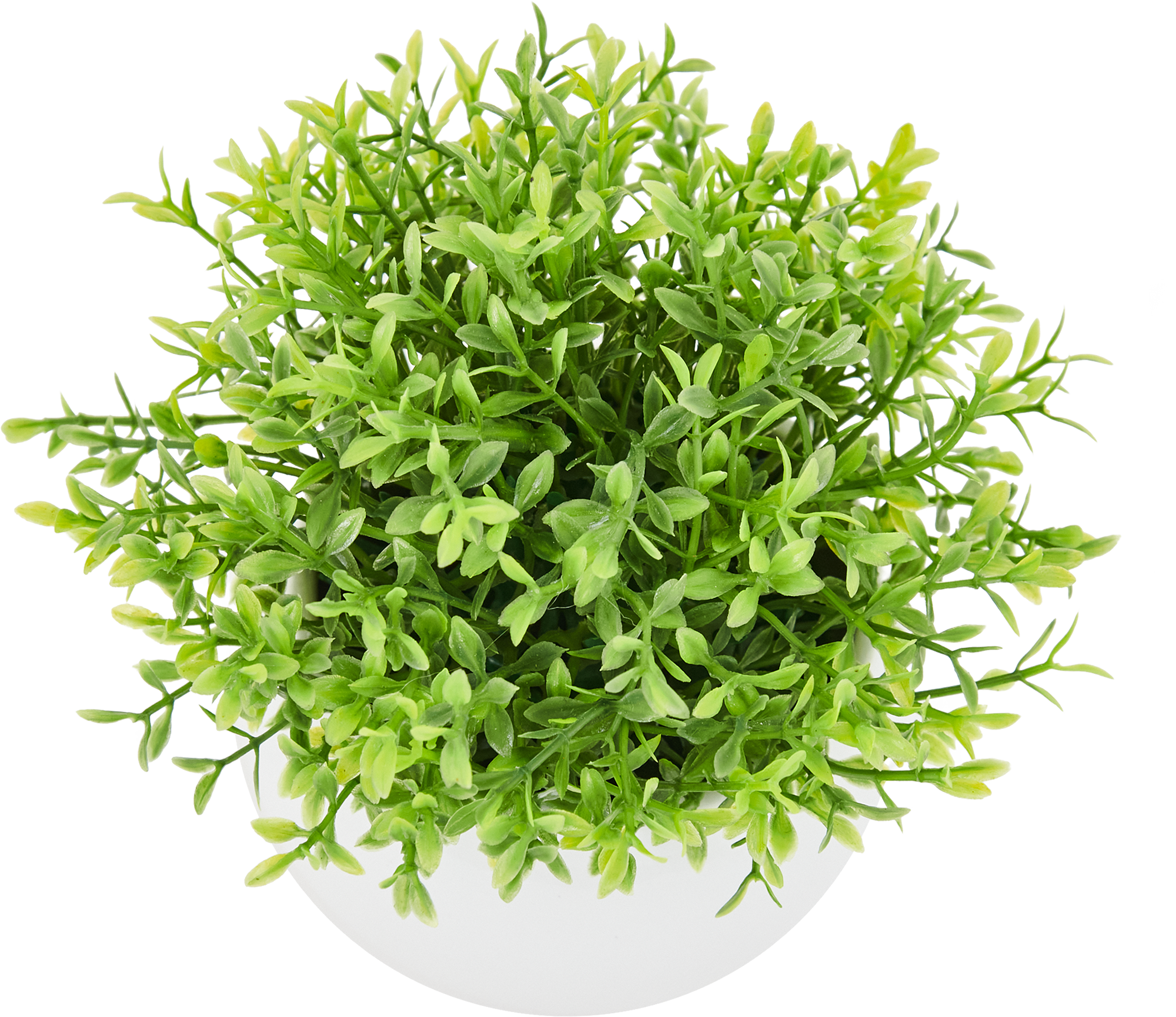 85826004 Искусственное растение Самшит h13 см STLM-0065526 Santreyd 