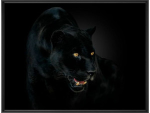 Печать фотографий на бумаге