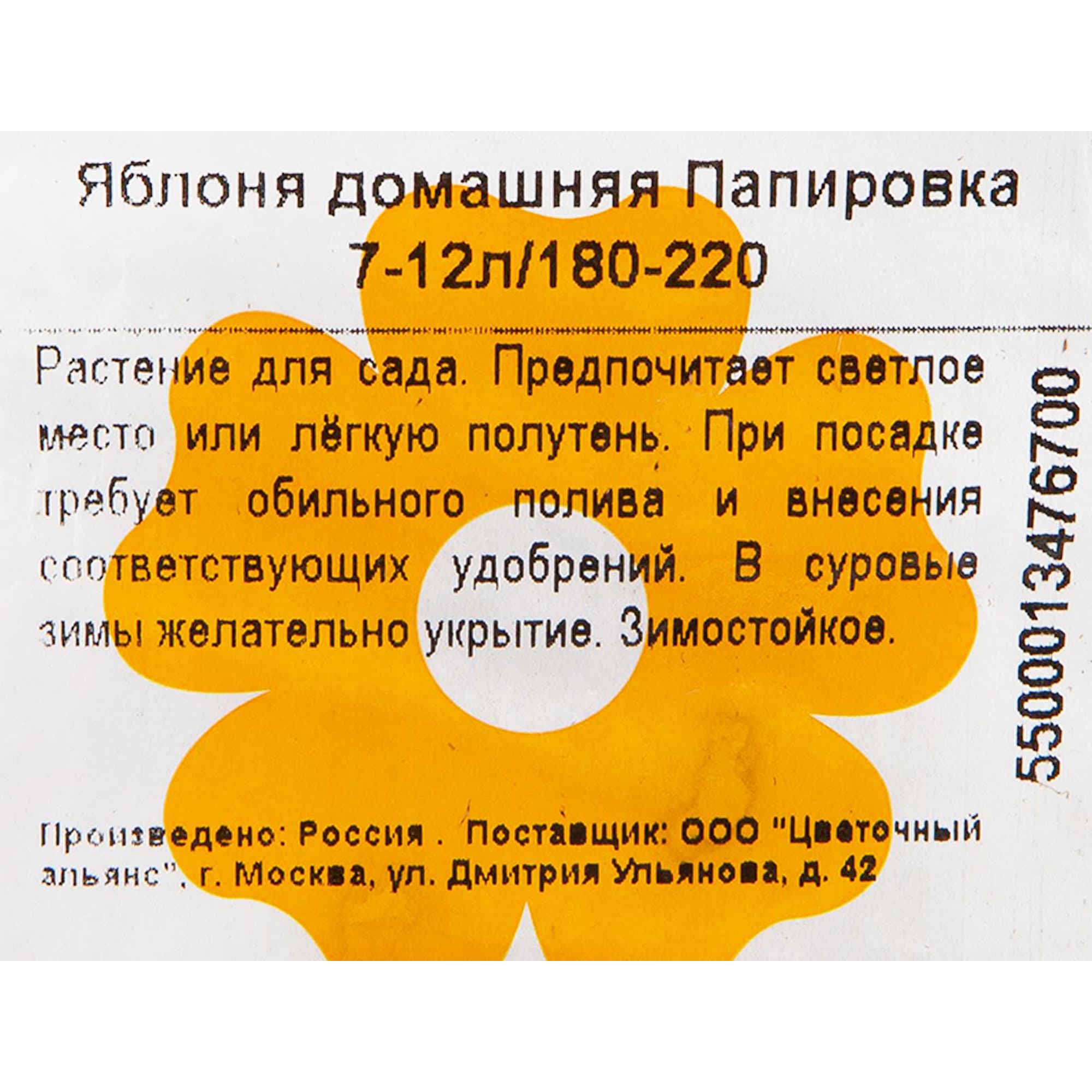 82601723 Яблоня домашняя «Папировка» 7-12 л высота 180-220 см Santreyd  - Вид №1
