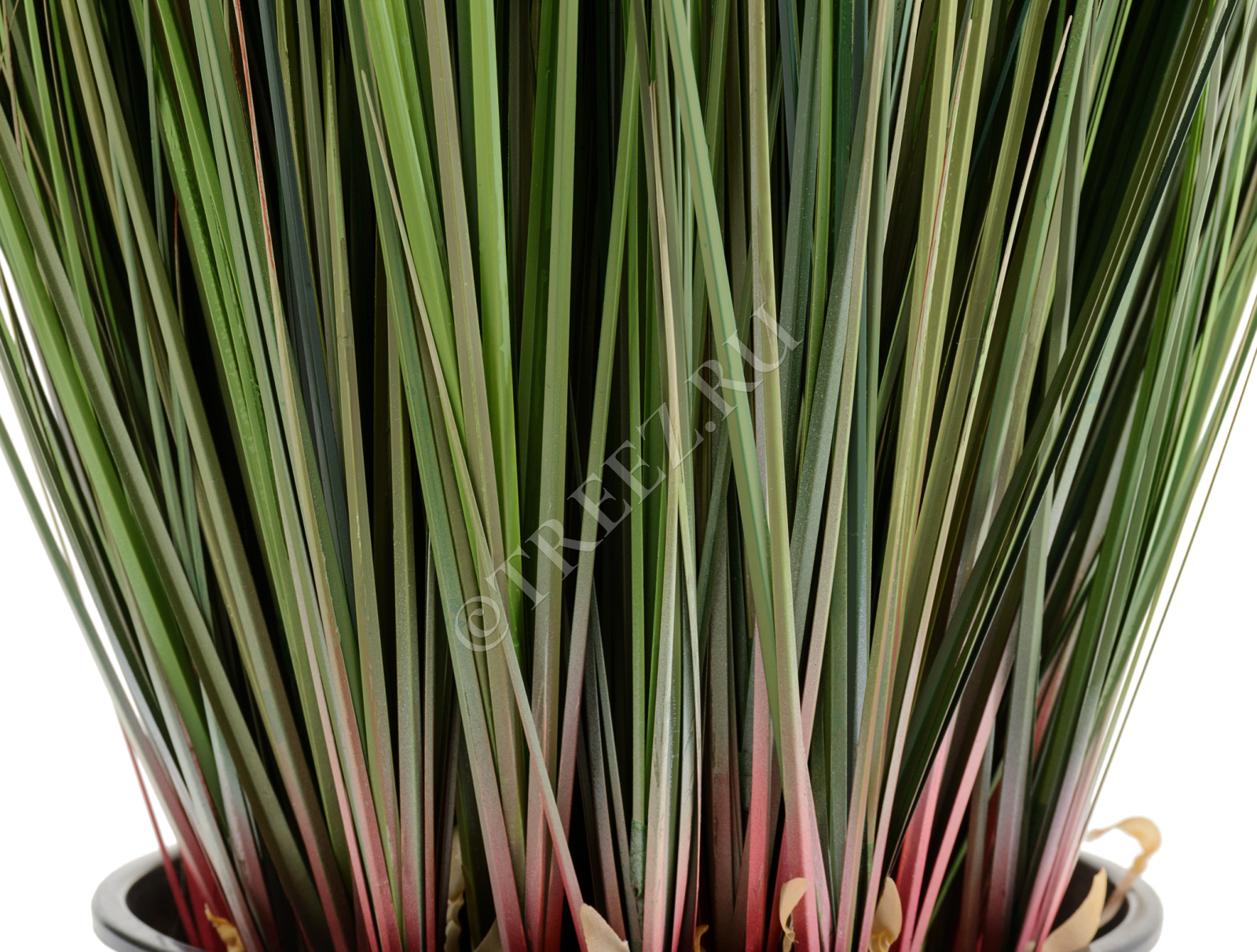 20.1040NX Трава Осока куст Цветочная коллекция  - Вид №2