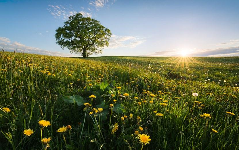 Komar Флизелиновые обои с пейзажами Wanderlust Shx9-034 - Вид №1