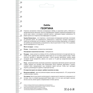 Георгины кактусовые Разноцветные фонарики микс, 3 шт