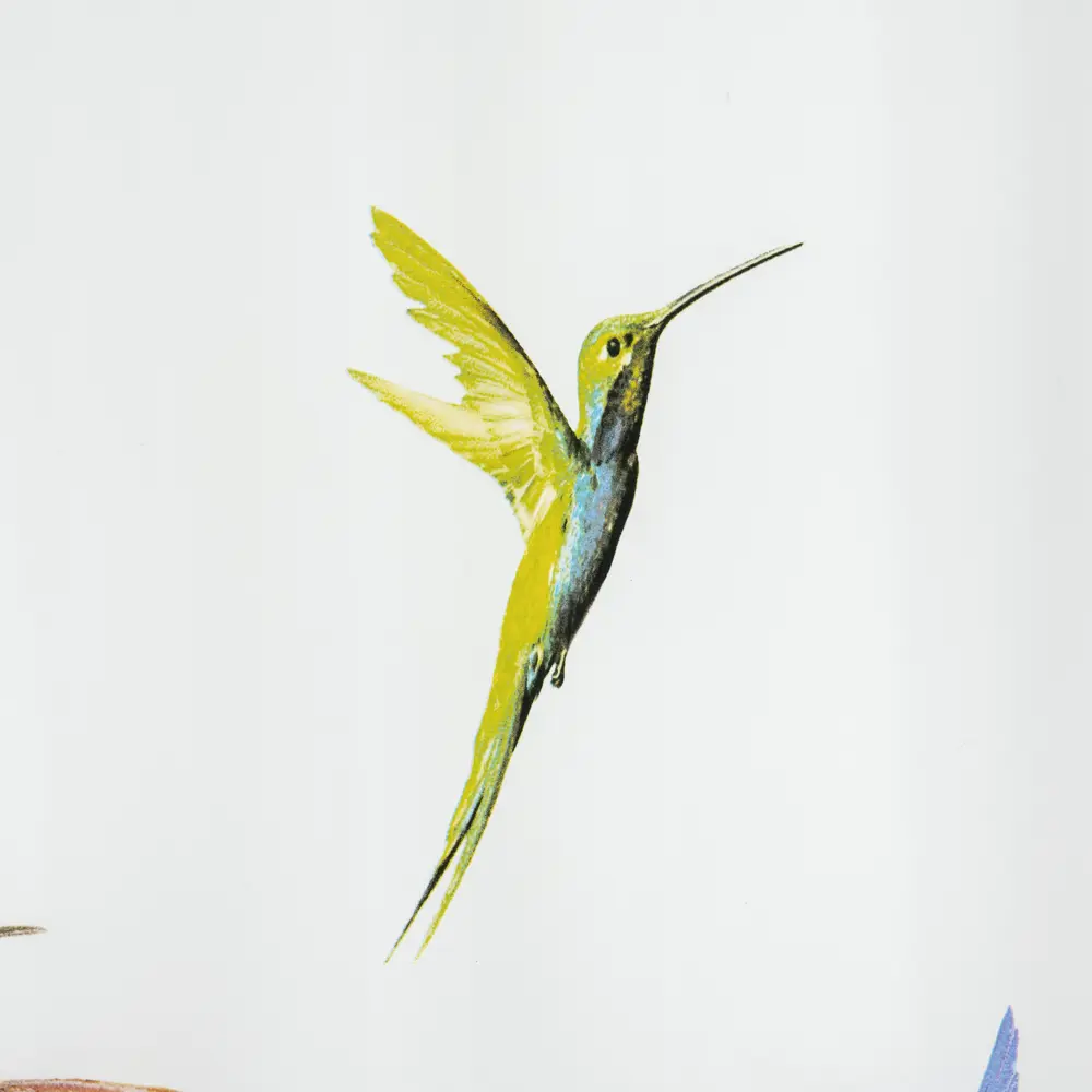 Штора для ванны Bacchetta Colibrì Multi с кольцами 180x200 см полиэстер , цвет мультиколор 84621382 STLM-2170477 Шторы текстильные - Вид №2