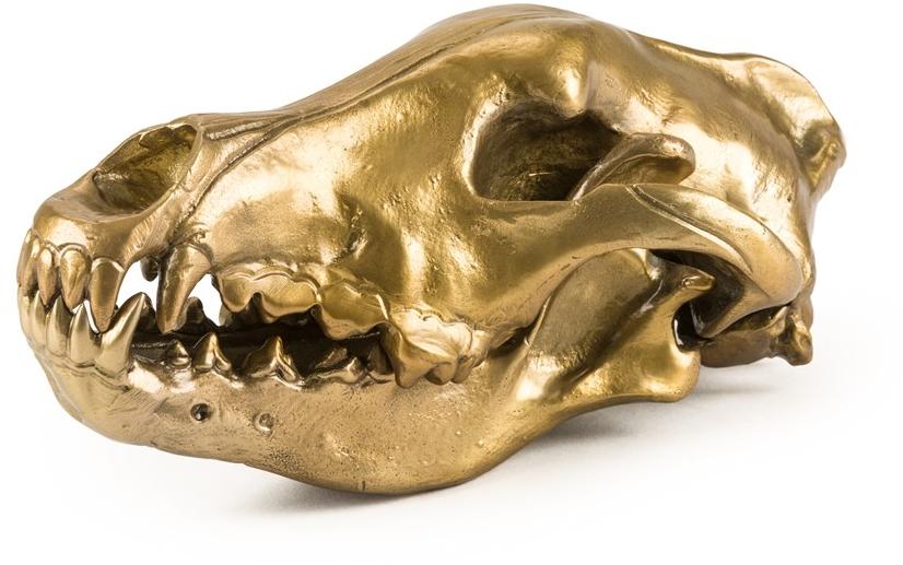 Seletti Алюминиевый декоративный предмет Wunderkammer sun-id-1419385 - Вид №9