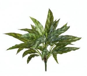 2000983170255 Сильвер Квин высота 40 см ROOMERS