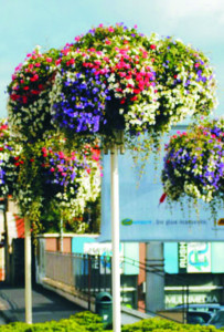 DK2801-VO.D Дерево КАЛИНА 28 (выс.2,8м), цветочница вертикального озеленения с термо-чашами LAB.Space