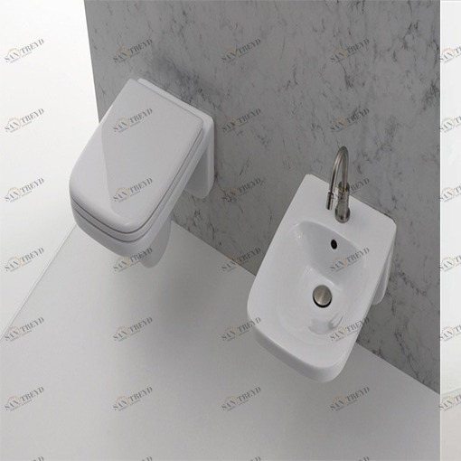 2101001 Подвесной унитаз настенный Белый  Moss Италия Santreyd