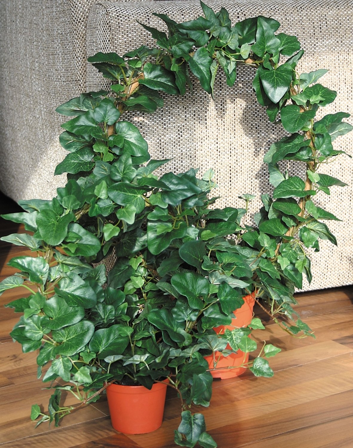 6712 883 a3 Пластиковый венок из плюща, горшок, Ø 28 см (всего 40 см), зеленый H-andreas  - Вид №2