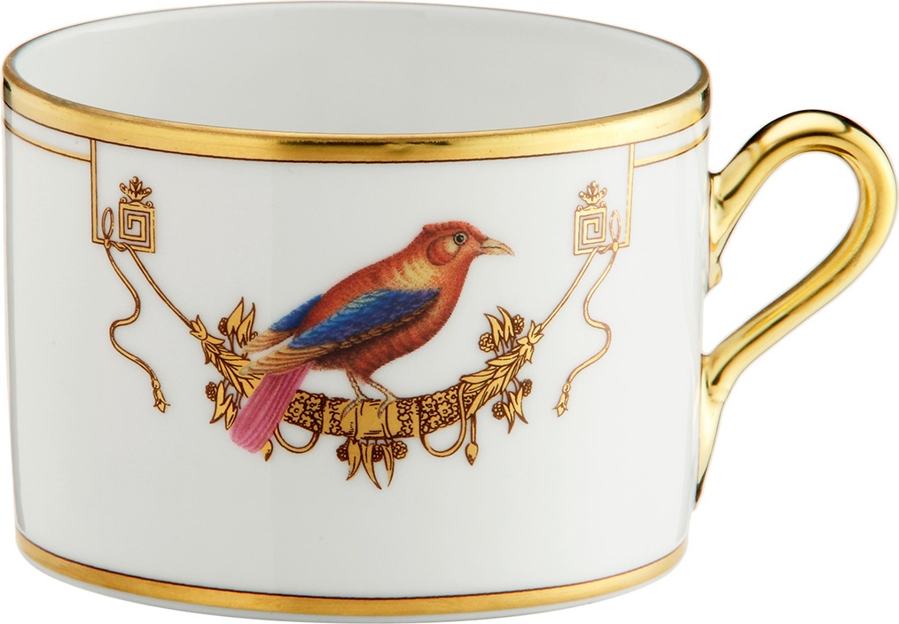 10647871 Richard Ginori Чашка чайная 220 мл Volie're Tangara du Canada Фарфор 