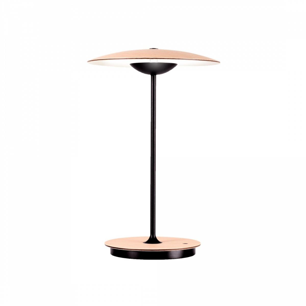 094239 Портативный светильник 20 M матовая латунь-белый Marset Ginger - Вид №1