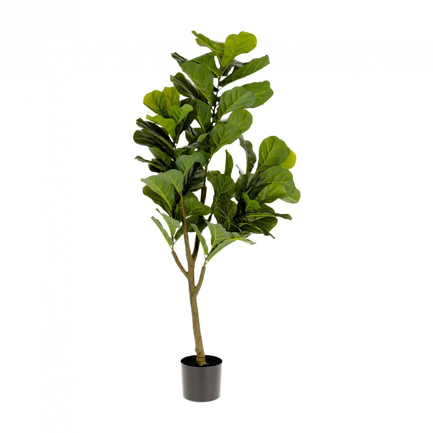 081742 Flower Искусственное растение листовой скрипки 145см La Forma Ficus
