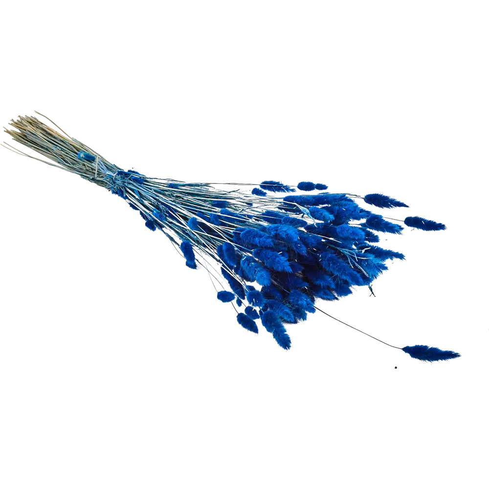 Букет из сухих цветов Лагурус микс 2 70 см Santreyd STLM-2185331