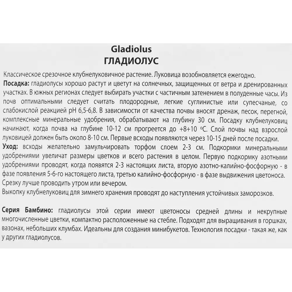 Гладиолус бамбино Веракс, 3 шт. 89351775 STLM-2087290 ПОИСК  - Вид №2