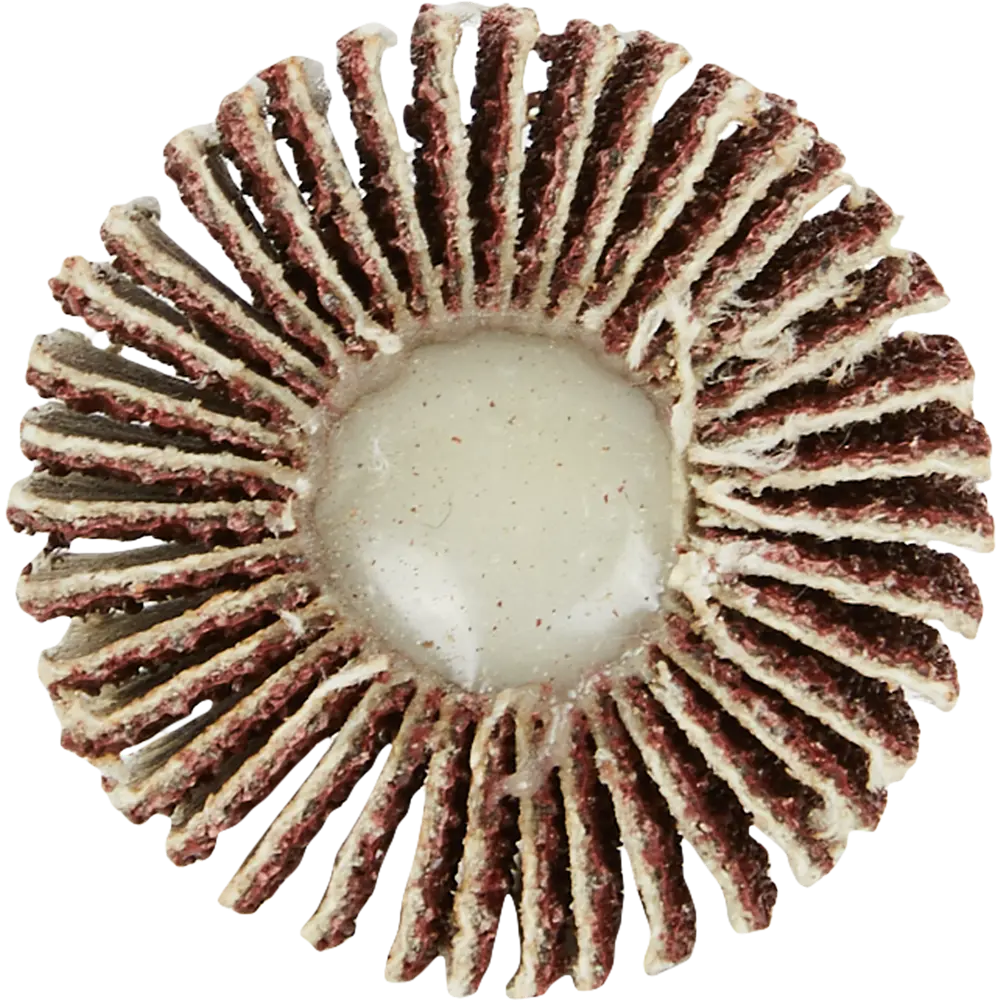 Круг лепестковый радиальный КЛО для дрели Спец 3579 P60 30x6x25 мм STLM-2045666