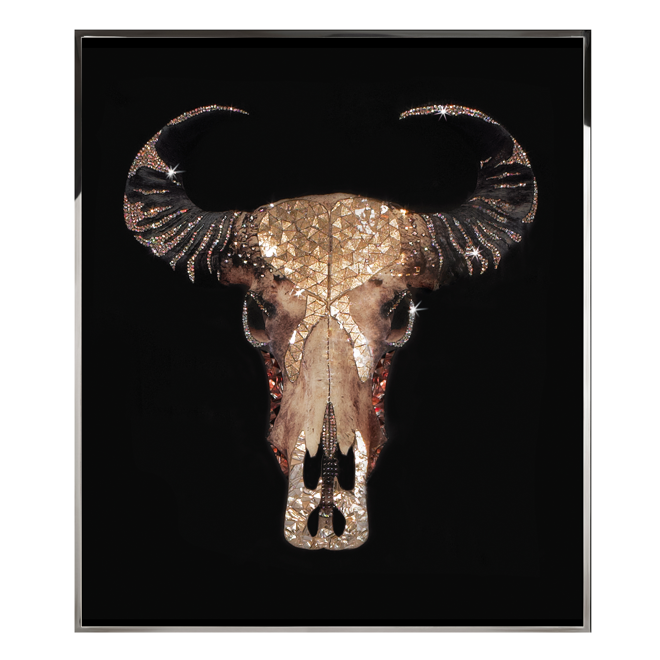 Trofeo Bufalo Смешанная техника Visionnaire  - Вид №1