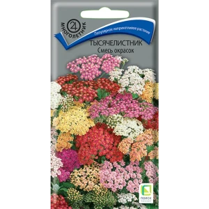 ПОИСК Тысячелистник декоративный микс - ажурное украшение сада 89401096