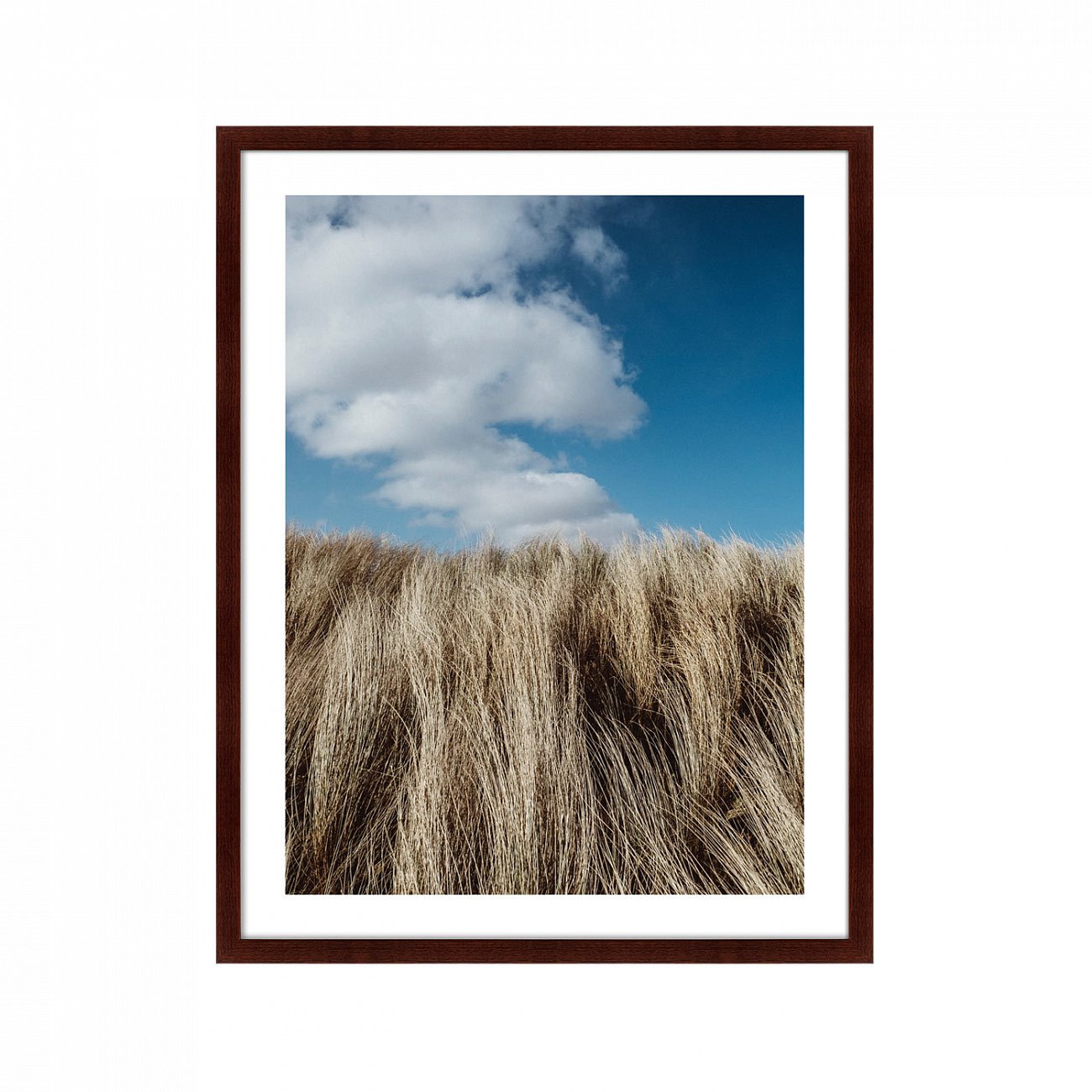 Картина: Grass in the wind КАРТИНЫ В КВАРТИРУ  264785 Разноцветный  - Вид №1