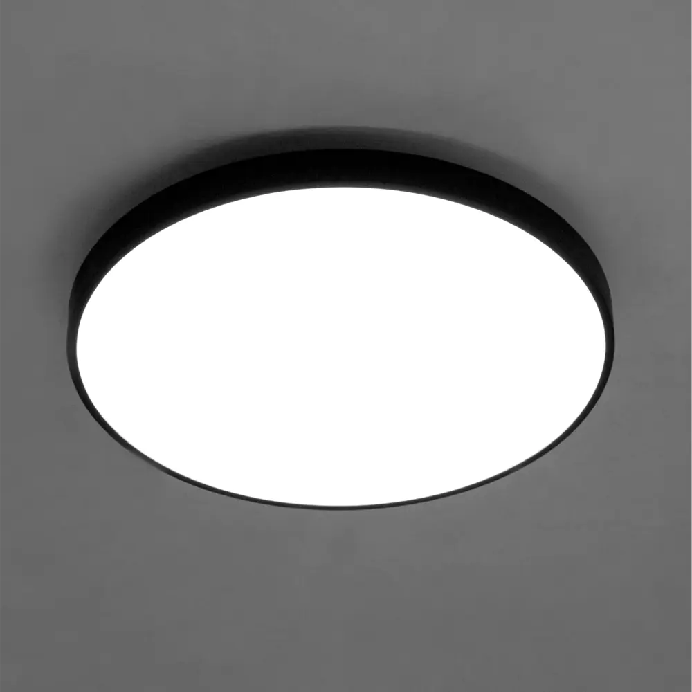 Santreyd BL — светодиодный потолочный светильник с защитой IP65 89383245 STLM-1379075 - Вид №2