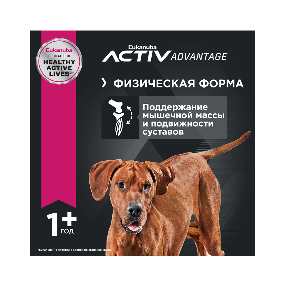 ПР0023011 Корм для собак для крупных пород ягненок, рис сух. 12кг Eukanuba  - Вид №6