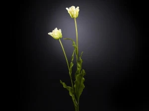 VGnewtrend Искусственное растение из полиэстера  1001665.61