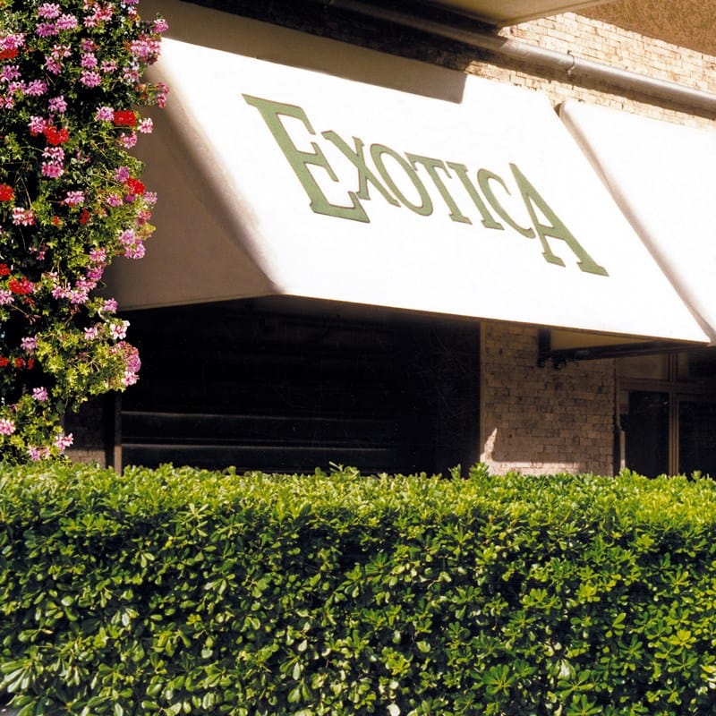 Тент с капюшоном Mv Line фиксированные и подвижные капоты ARCH-00030884 - Вид №1