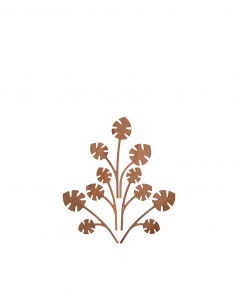 Выходит на диффузор. Хм Алесси Пять сезонов