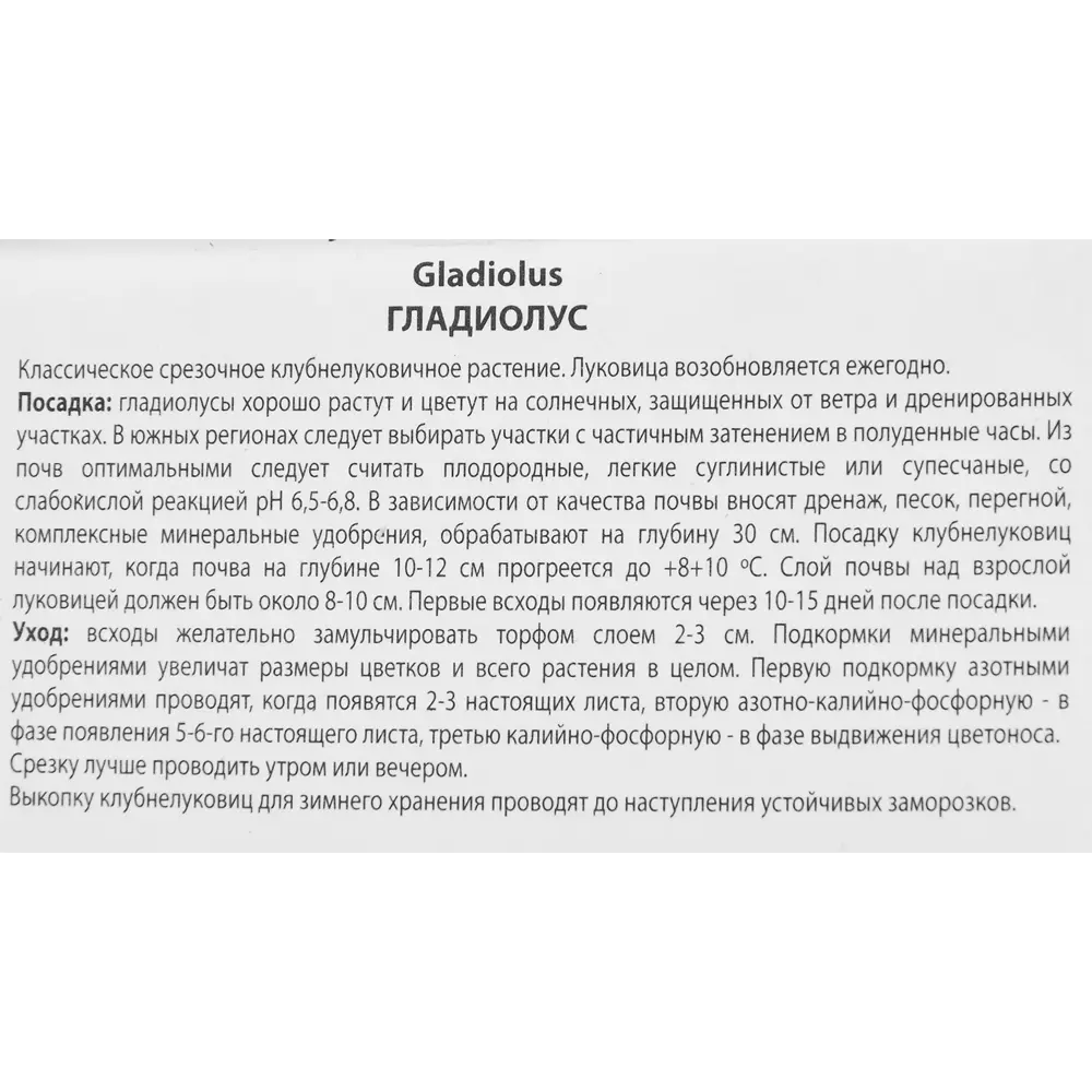 Гладиолус крупноцветковый Сорпреса, 3 шт 86410021 STLM-2205899 ПОИСК  - Вид №2