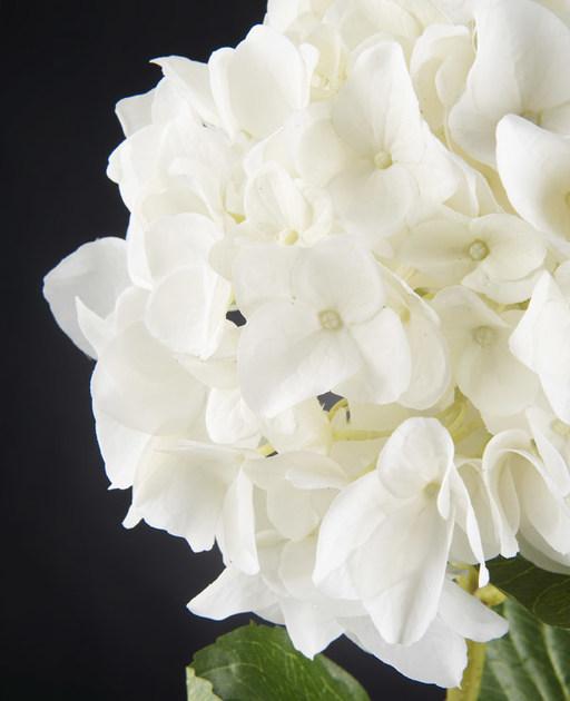 VGnewtrend Искусственное растение  1001490.95  - Вид №1