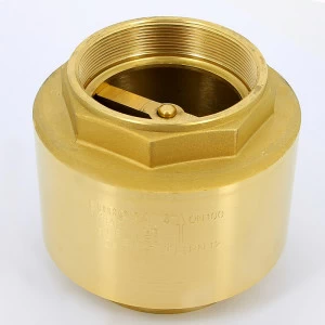 Клапан обратный пружинный EUROPA с металлическим затвором ITAP 4"