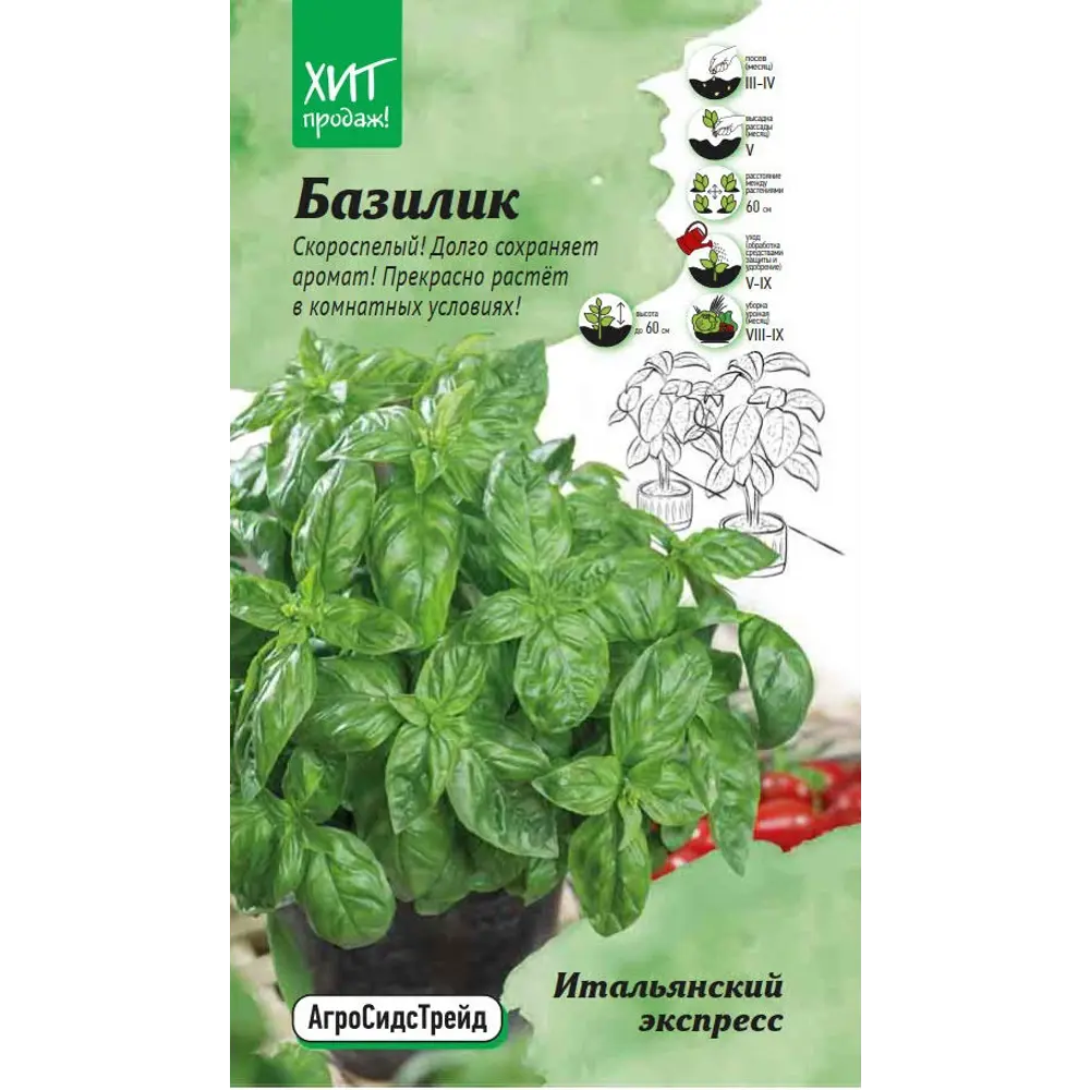 Семена пряных трав АСТ базилик Итальянский экспресс 89405256 STLM-2140586 Santreyd 
